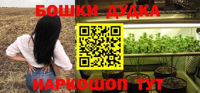 крисы Заводоуковск